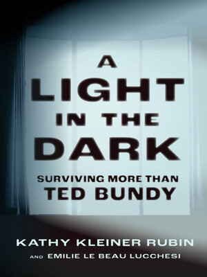 cover image of A Light in the Dark